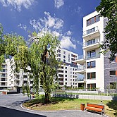 Apartamenty przy Krasińskiego - zieleń i mała architektura